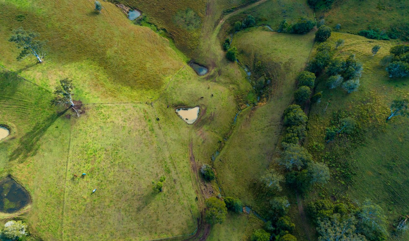 The path to net zero is paved with disputes