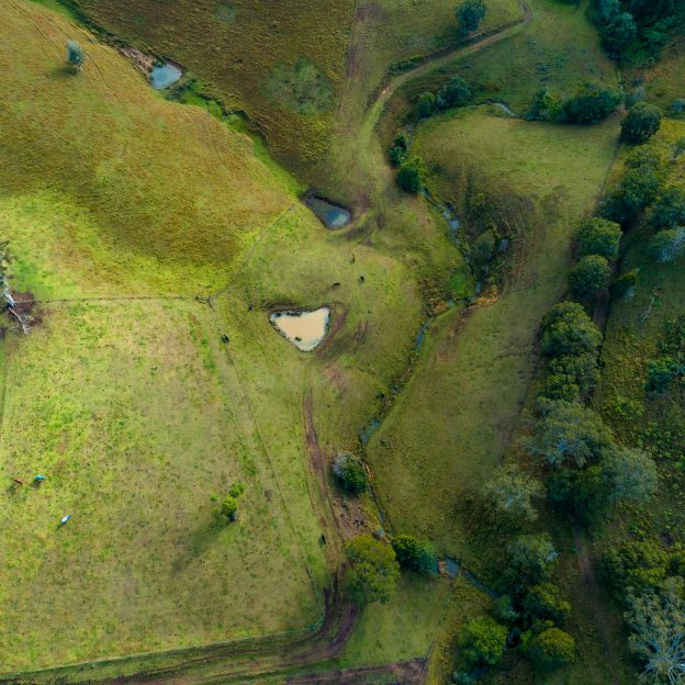 The path to net zero is paved with disputes